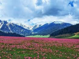 Unexplored Kashmir with Bangus Valley Tour Package
